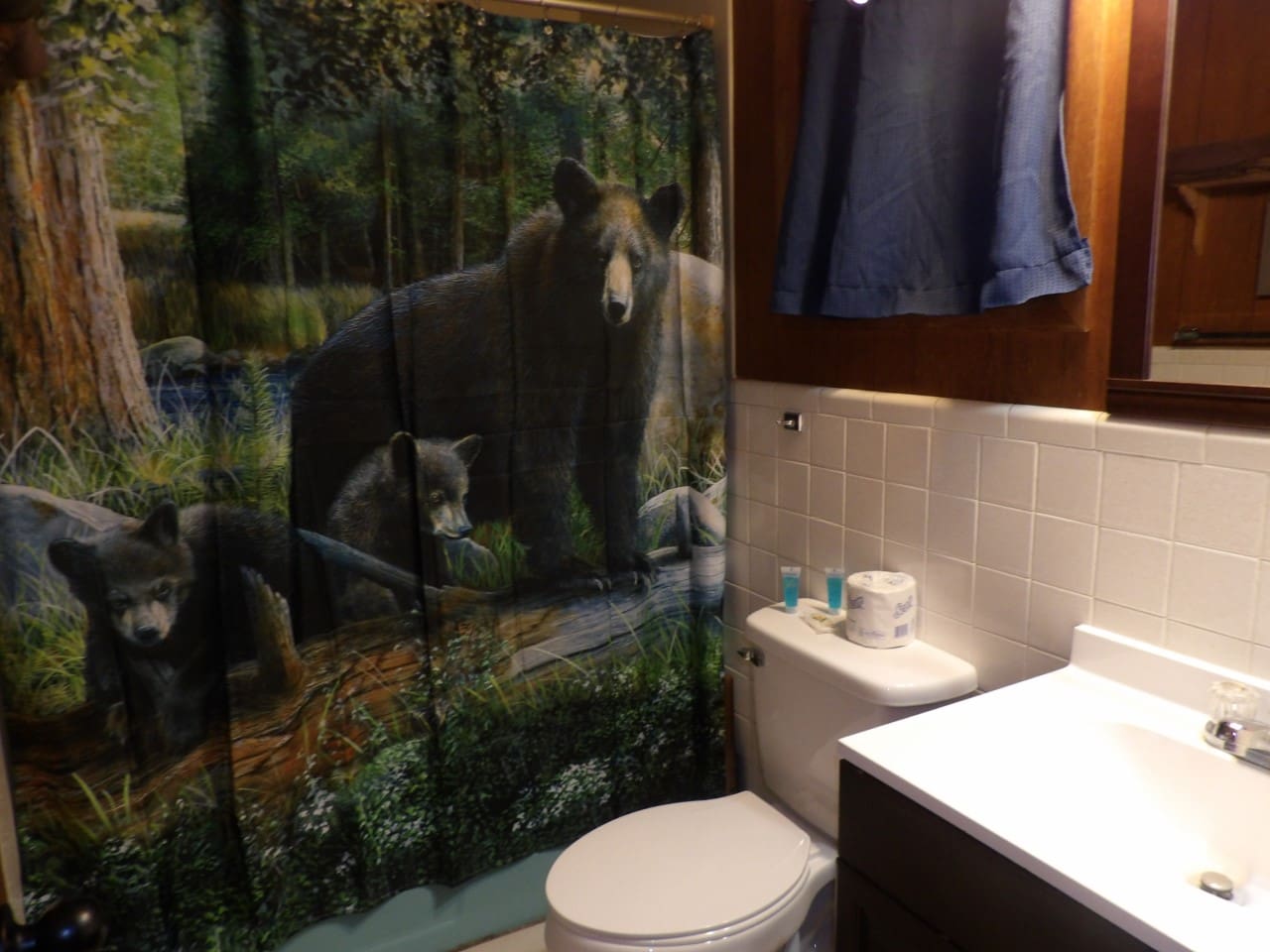 A bathroom with a shower curtain and toilet