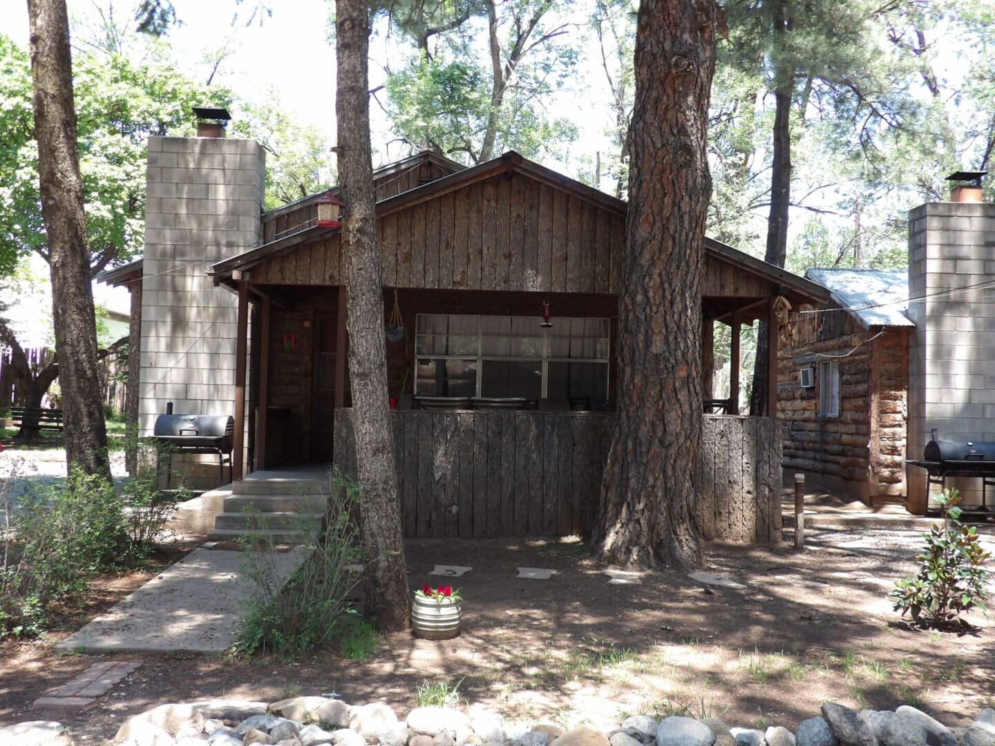 cabin in front of two pine trees