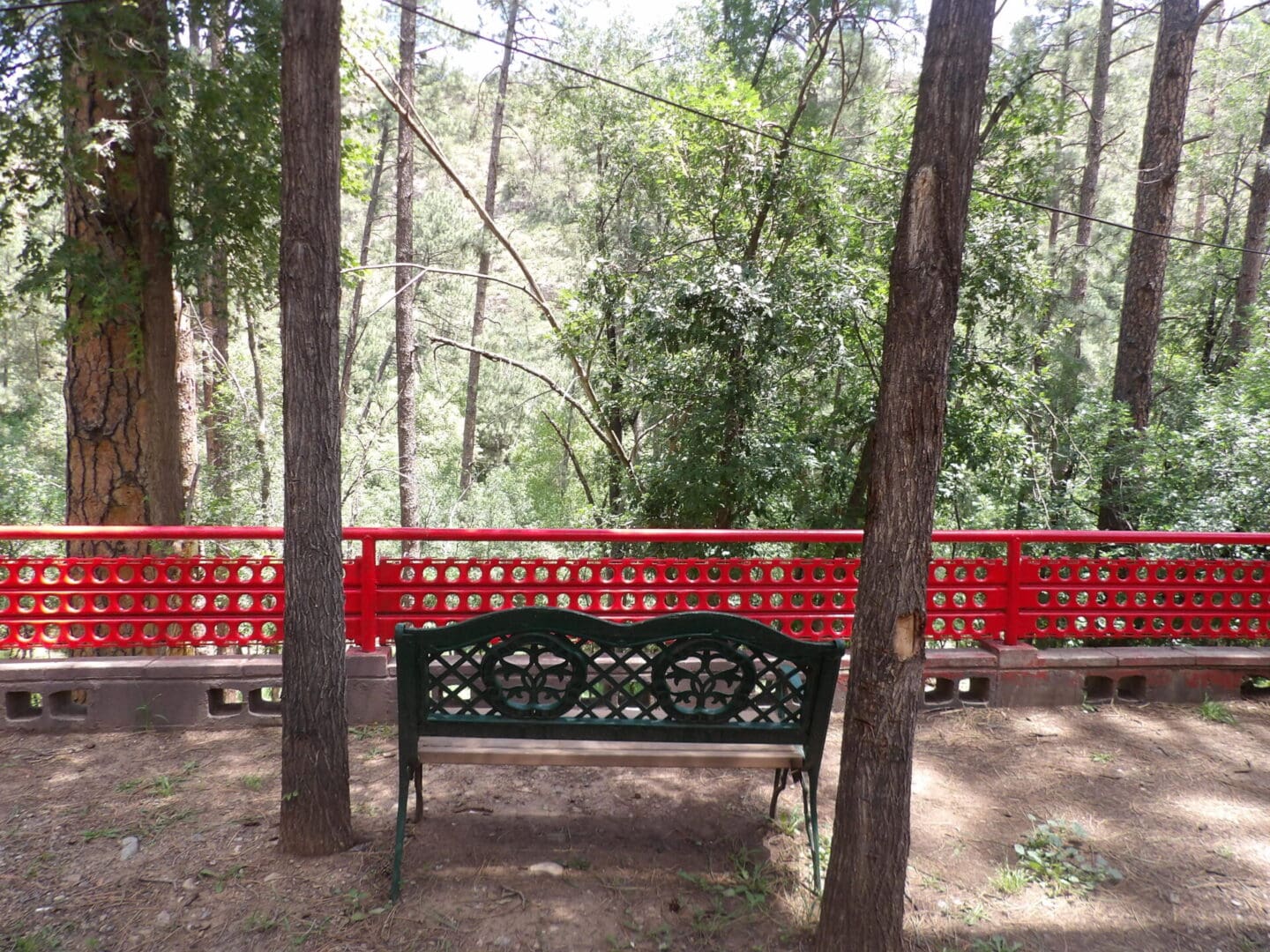 metal seat in between two trees overlooking a forest
